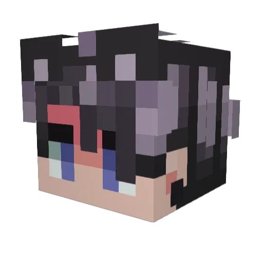 suprimQrow Minecraft avatar head, 3D render
