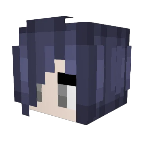 suprm_kyl0 Minecraft avatar head, 3D render