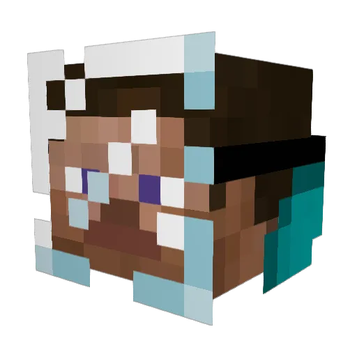 suprsoup Minecraft avatar head, 3D render