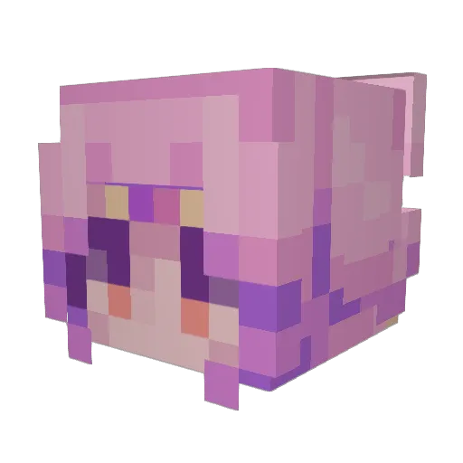 supsexpert Minecraft avatar head, 3D render