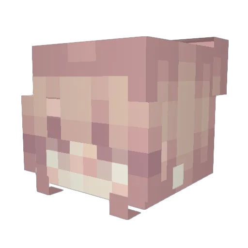 suq_madiqz Minecraft avatar head, 3D render