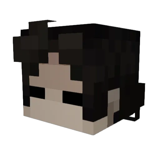 sure1351 Minecraft avatar head, 3D render