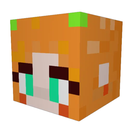 surfabilly Minecraft avatar head, 3D render