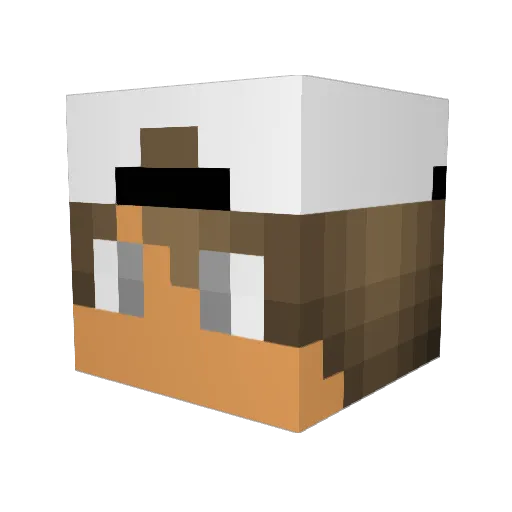 surfer928 Minecraft avatar head, 3D render