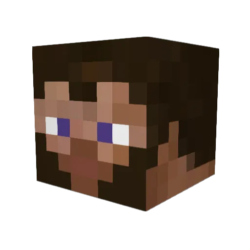 surferdude3328 Minecraft avatar head, 3D render
