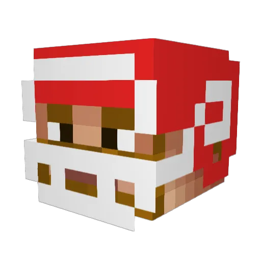 surferdude7227 Minecraft avatar head, 3D render