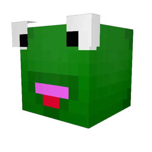 surfersam123 Minecraft avatar head, 3D render