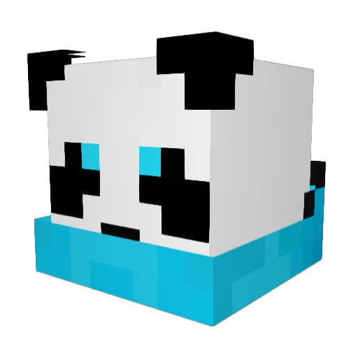 surfingtaco Minecraft avatar head, 3D render