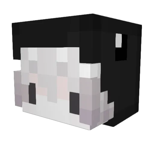 surfist Minecraft avatar head, 3D render