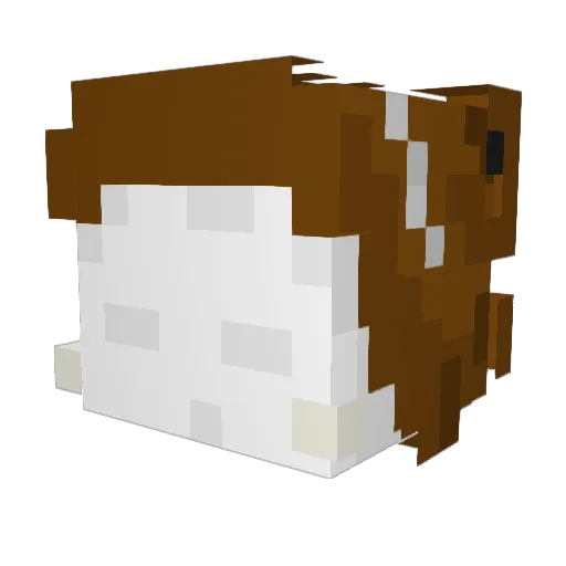 suried Minecraft avatar head, 3D render