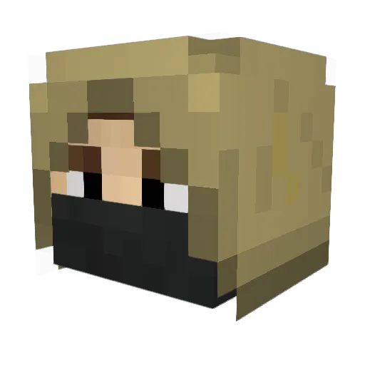 surkit03 Minecraft avatar head, 3D render
