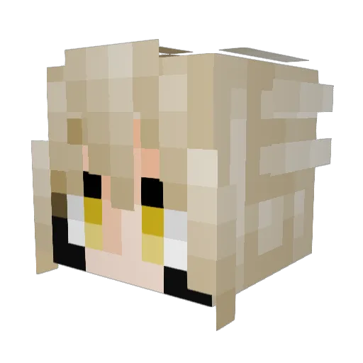 surpcor Minecraft avatar head, 3D render