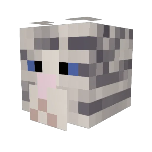 surprisedonkey6 Minecraft avatar head, 3D render