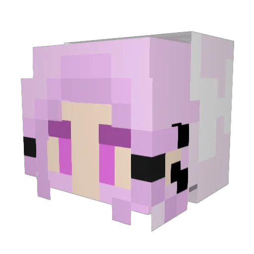 surroundting Minecraft avatar head, 3D render