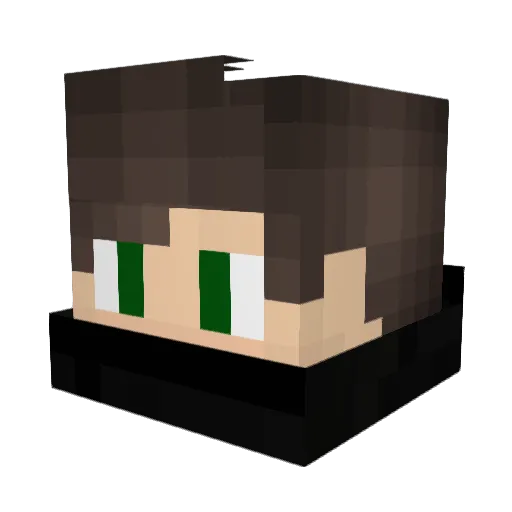 survivalexpert22 Minecraft avatar head, 3D render