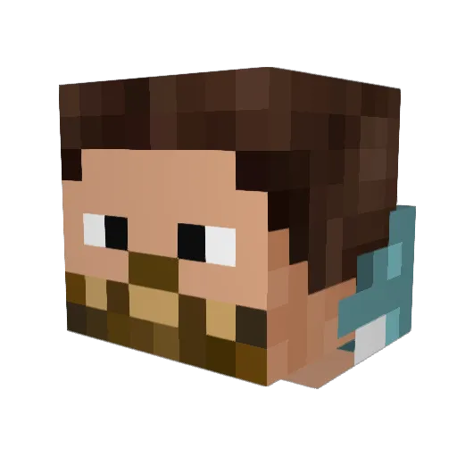 survivor0311 Minecraft avatar head, 3D render
