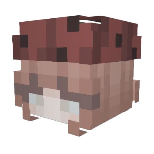 sus4k Minecraft avatar head, 3D render