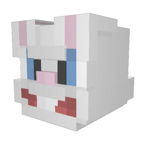 susaccounttt Minecraft avatar head, 3D render