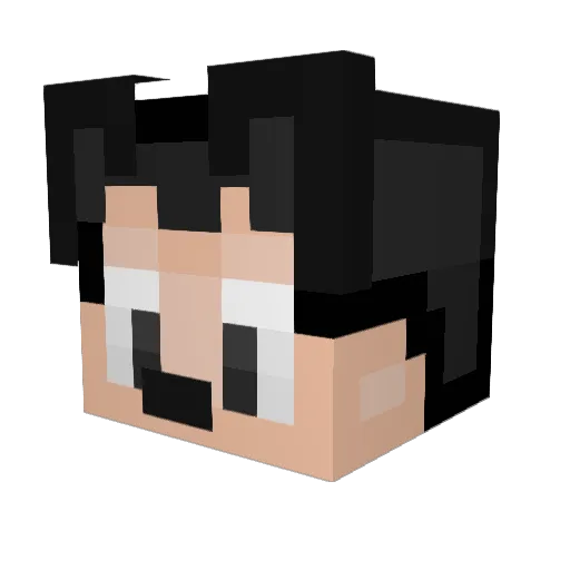 susanater Minecraft avatar head, 3D render
