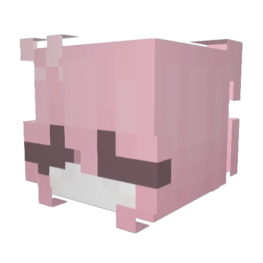 susaswag Minecraft avatar head, 3D render
