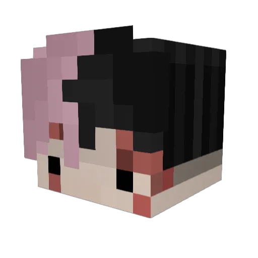 susboiflo Minecraft avatar head, 3D render