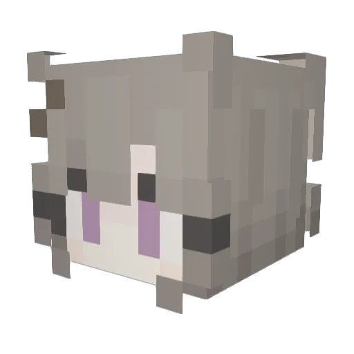 susgirlfriend Minecraft avatar head, 3D render