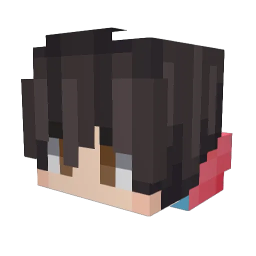 susguy08 Minecraft avatar head, 3D render