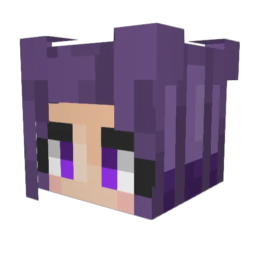 sushe_ Minecraft avatar head, 3D render
