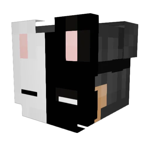 sushiSKK Minecraft avatar head, 3D render