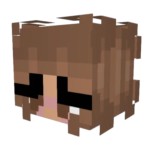 sushi_sunshine Minecraft avatar head, 3D render
