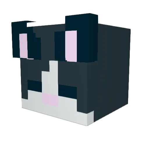 sushi_wow Minecraft avatar head, 3D render