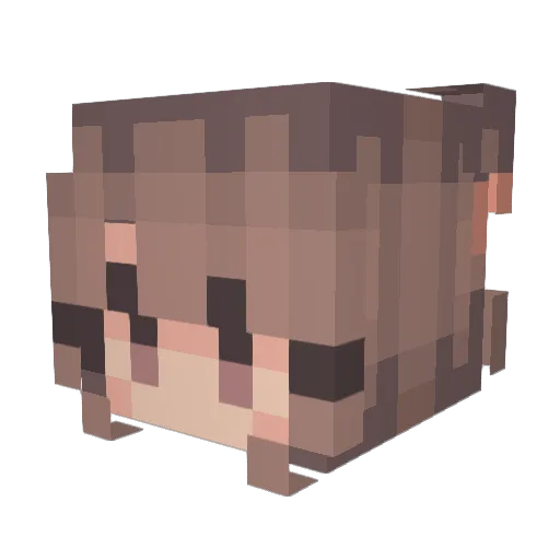 sushidonkey Minecraft avatar head, 3D render