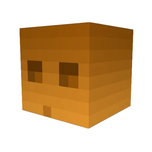 sushifierce Minecraft avatar head, 3D render