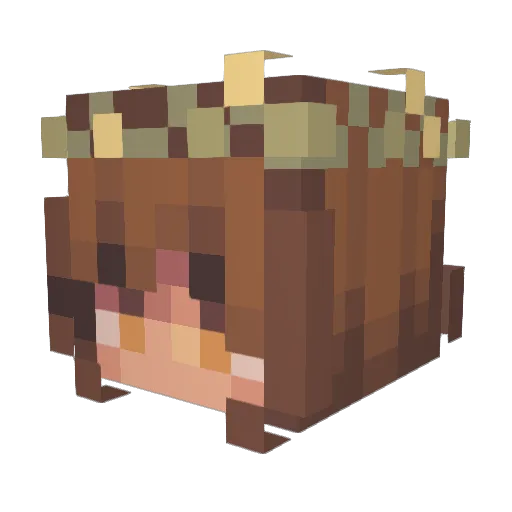 sushii22 Minecraft avatar head, 3D render