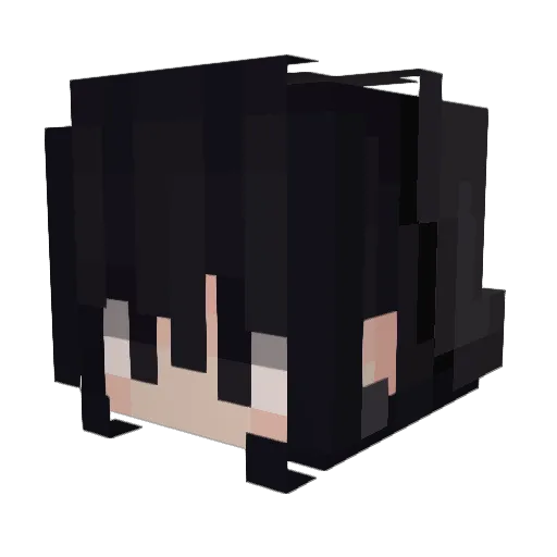 sushiilatte Minecraft avatar head, 3D render