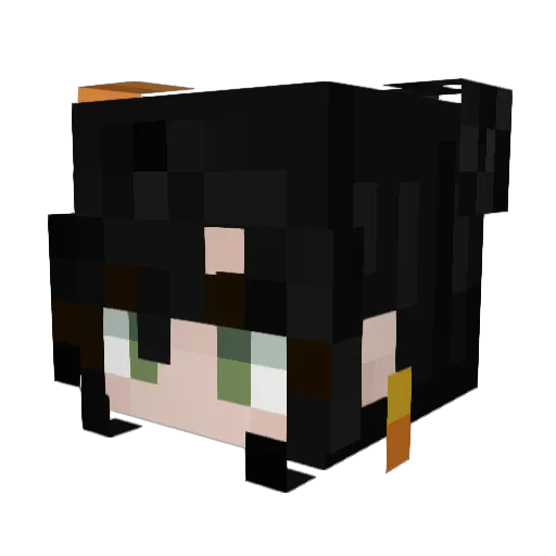 sushiisashimi Minecraft avatar head, 3D render