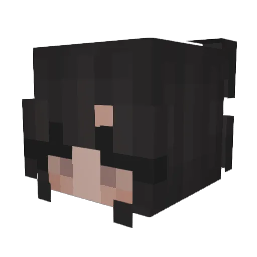 sushircll Minecraft avatar head, 3D render