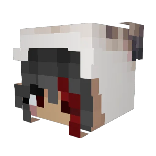 sushirollin Minecraft avatar head, 3D render