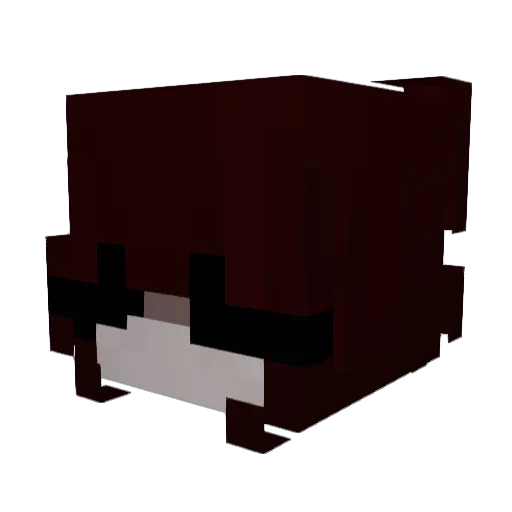 sushkas Minecraft avatar head, 3D render