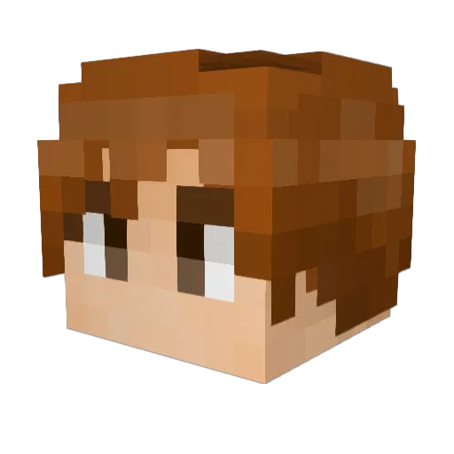sushsg Minecraft avatar head, 3D render