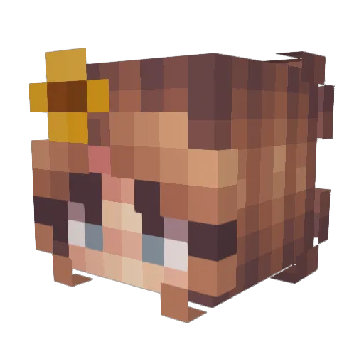 susie05 Minecraft avatar head, 3D render