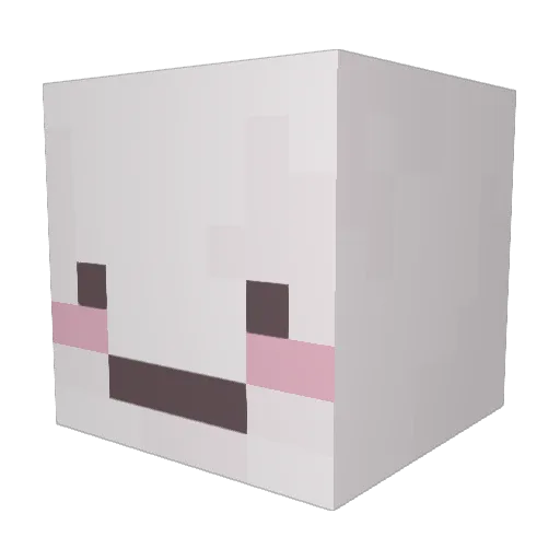 susman1000 Minecraft avatar head, 3D render