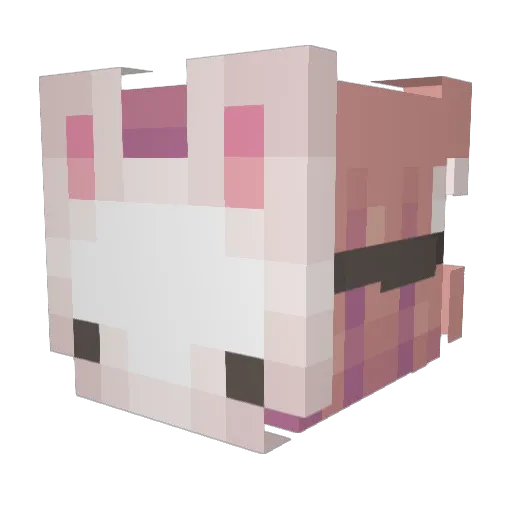 susmau Minecraft avatar head, 3D render