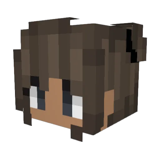 suspiciousplant Minecraft avatar head, 3D render