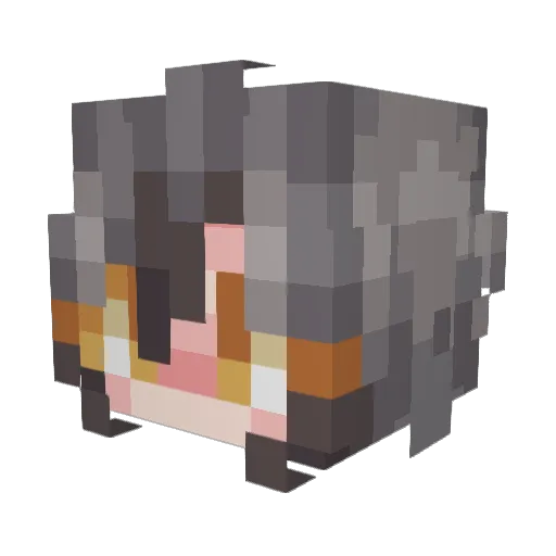 susu_737 Minecraft avatar head, 3D render
