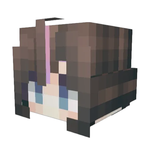susumu00 Minecraft avatar head, 3D render