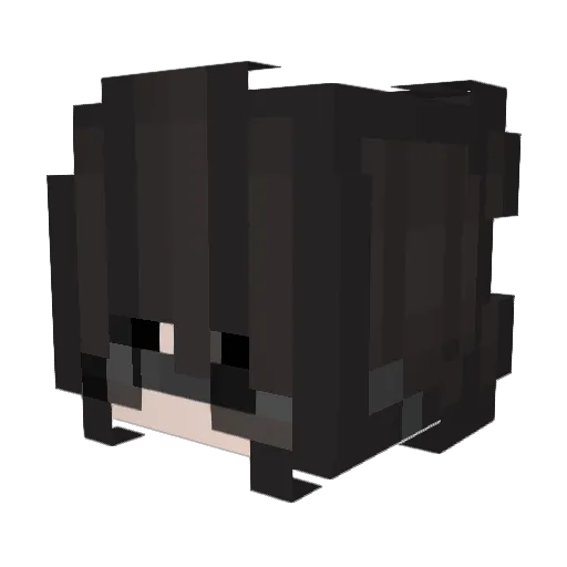susuzinhaa Minecraft avatar head, 3D render