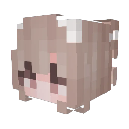 sutory1011 Minecraft avatar head, 3D render