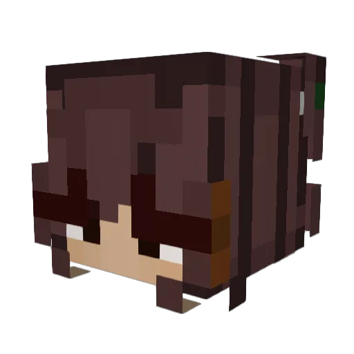 suttonpants518 Minecraft avatar head, 3D render