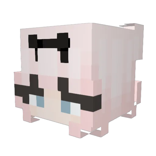 suuperAU Minecraft avatar head, 3D render